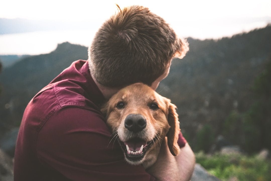 Photo CBD oil, dog